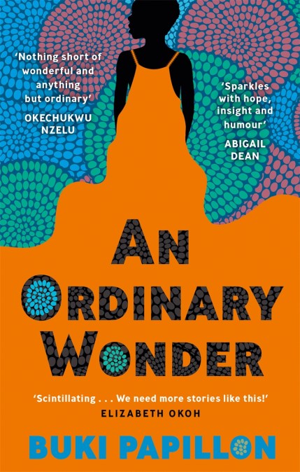 An Ordinary Wonder